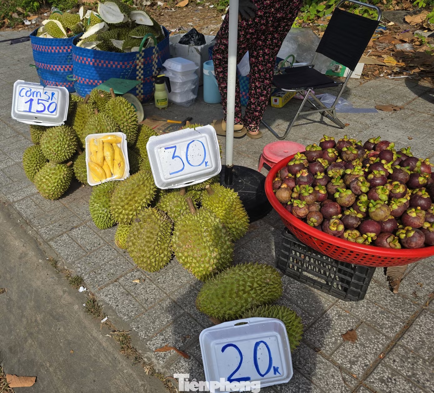 gia sau rieng anh 5