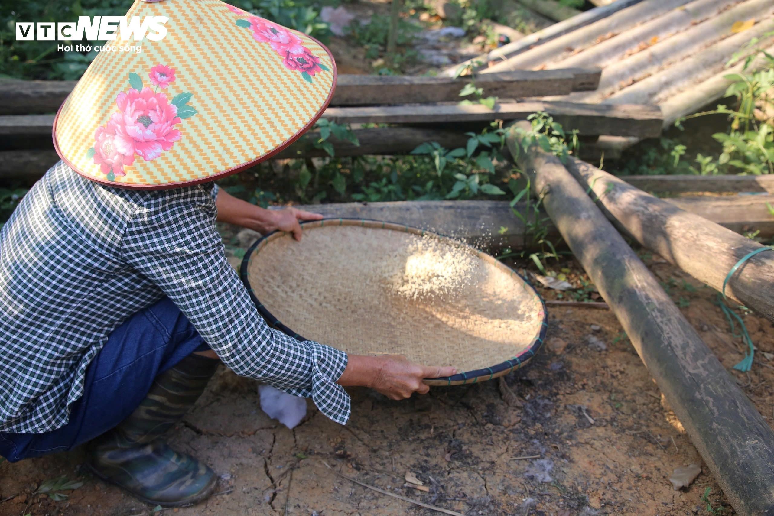 san trung kien anh 11