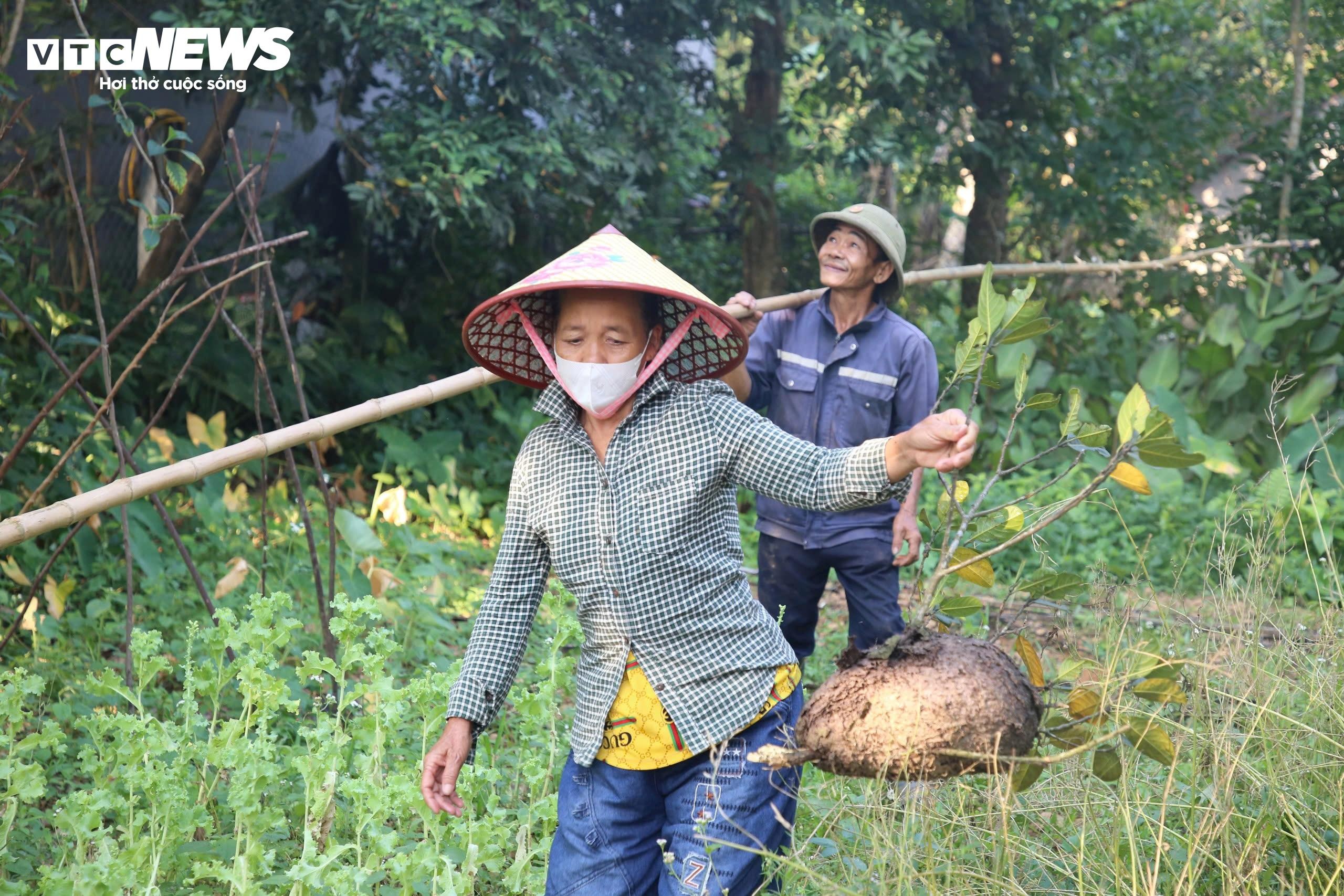 san trung kien anh 1