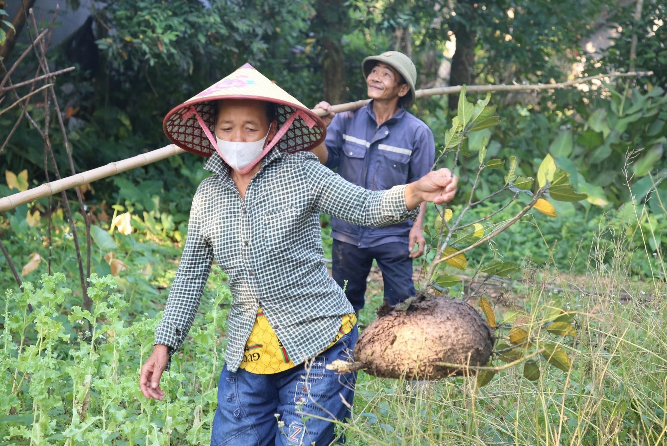 San trung kien trong rung, kiem tien trieu moi ngay hinh anh