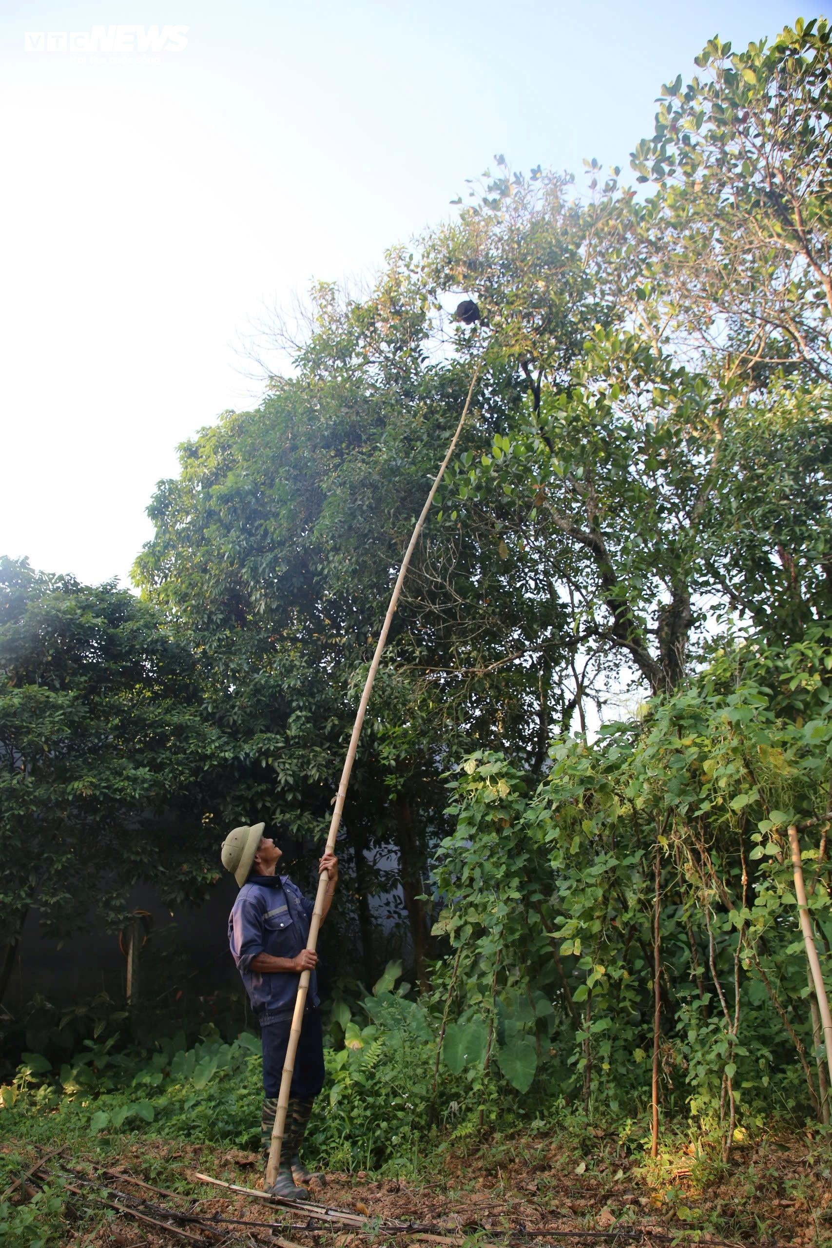 san trung kien anh 2