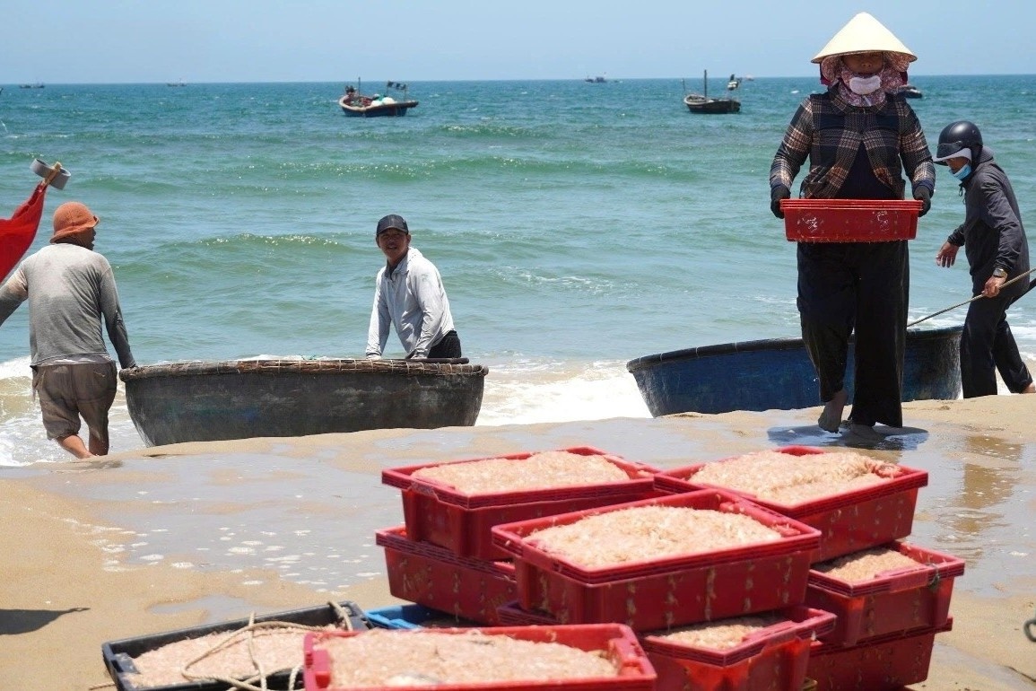 Ruoc day dac, ngu dan Da Nang 'bo tui' bac trieu sau vai gio ra khoi hinh anh