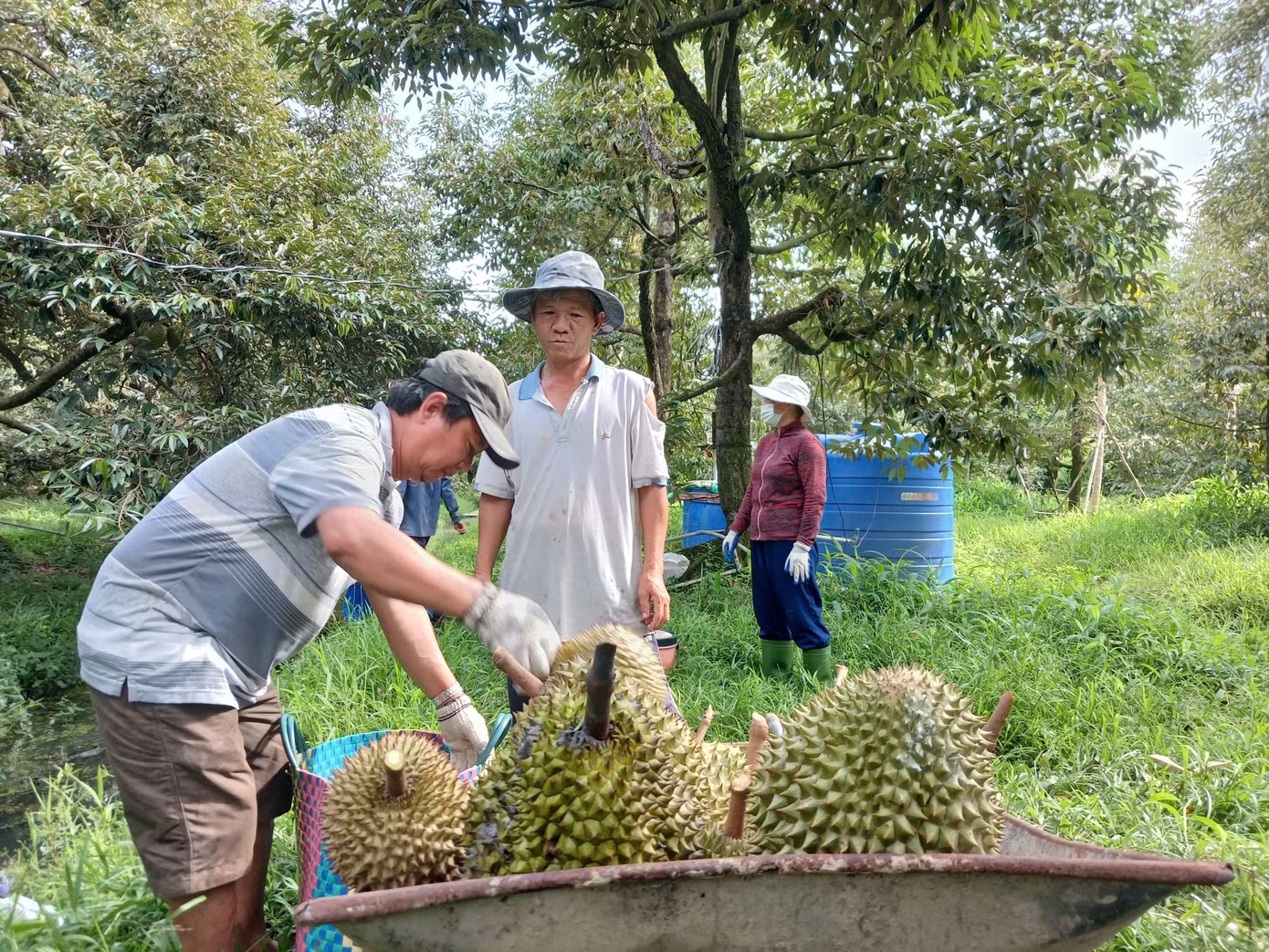 xet nghiem sau rieng anh 1