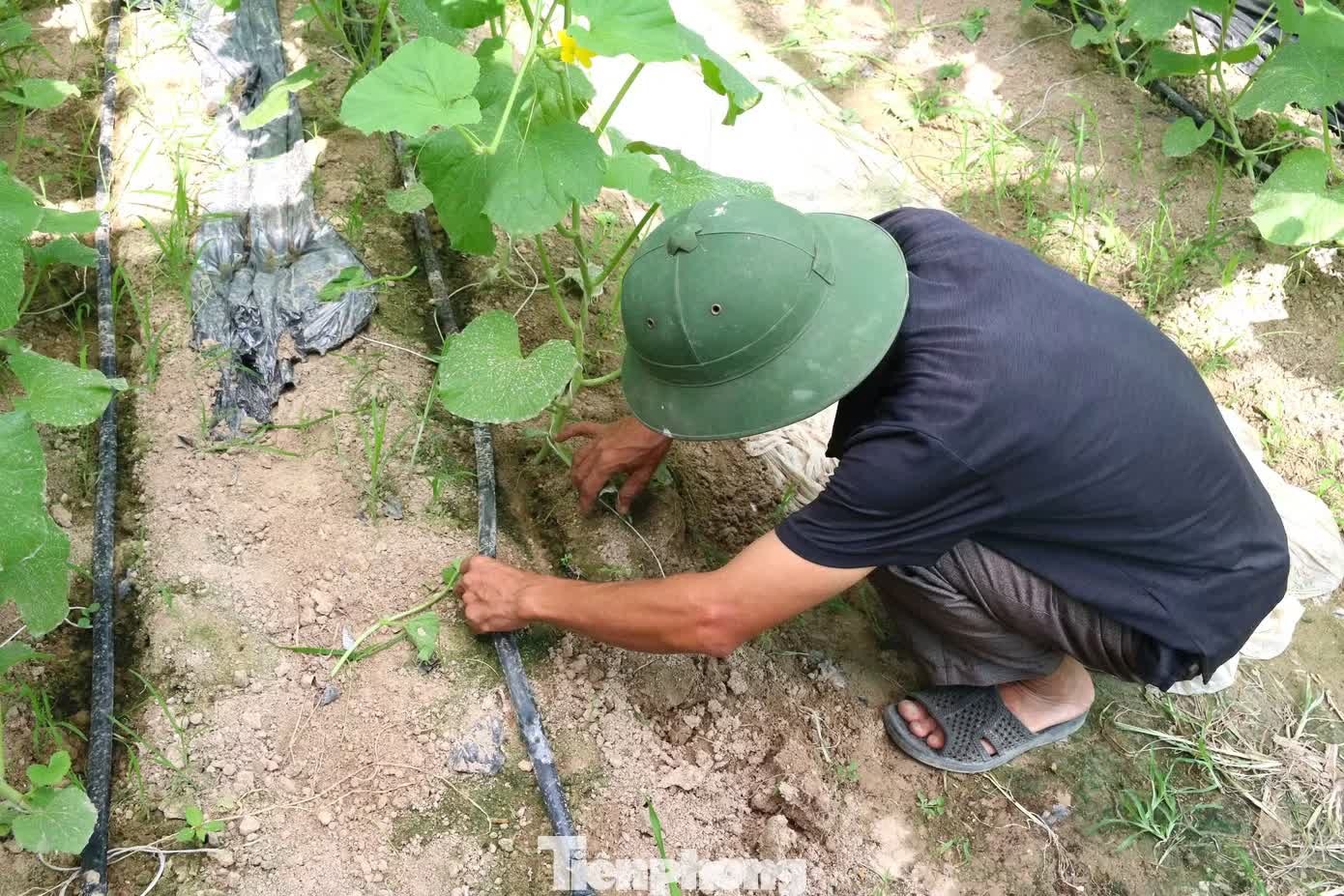 khởi nghiệp ảnh 6 khoi nghiep anh 6