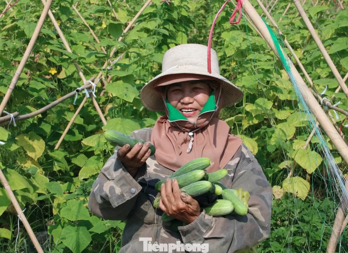 khoi nghiep anh 15