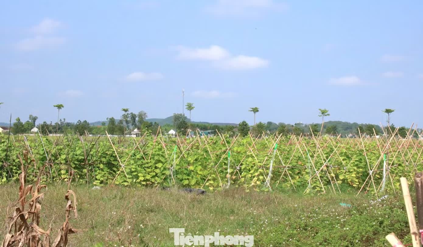 khởi nghiệp ảnh 3 khoi nghiep anh 3