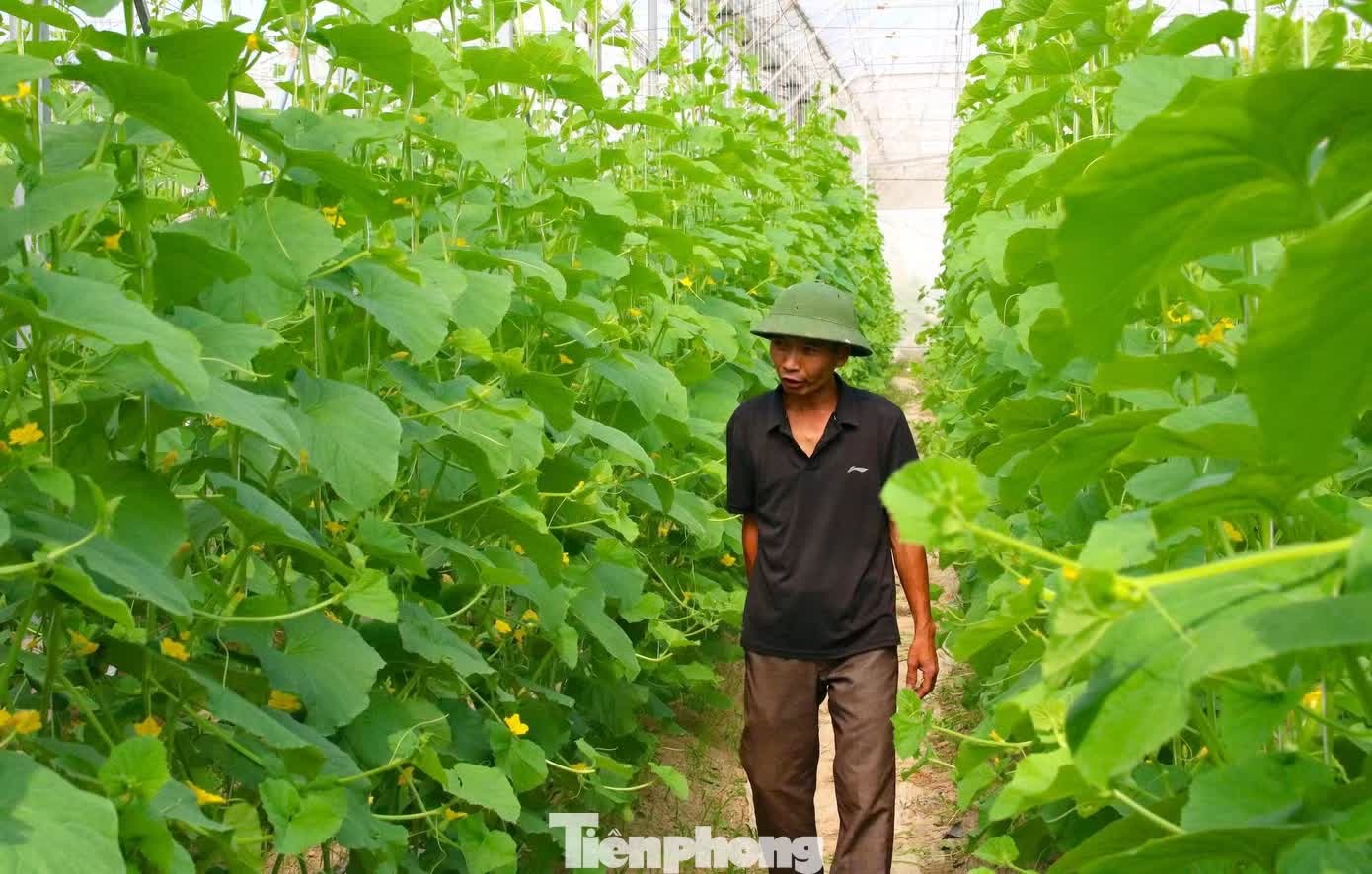 khoi nghiep anh 1