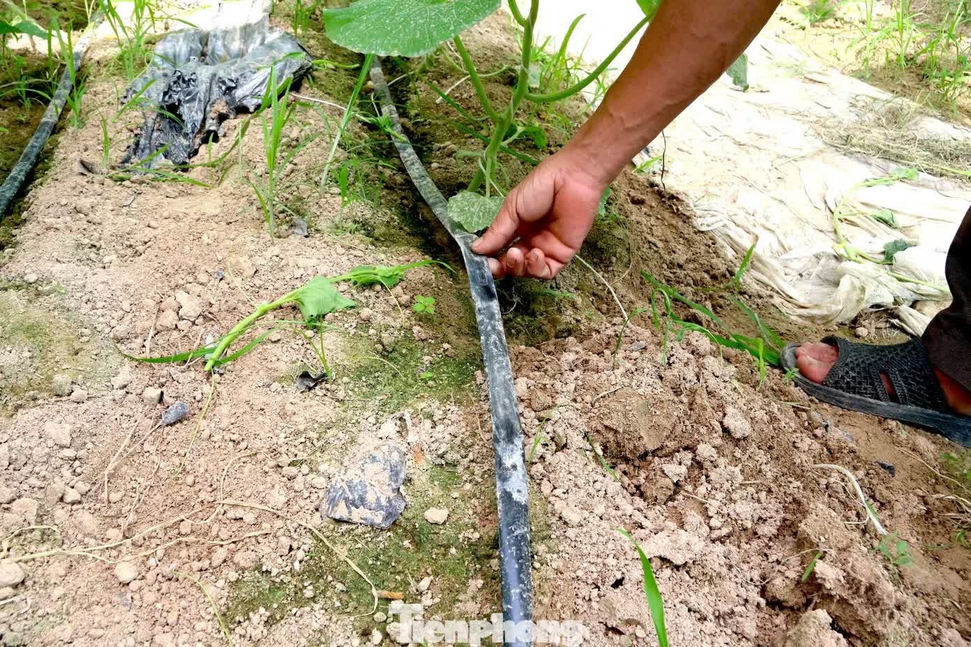 khởi nghiệp ảnh 7 khoi nghiep anh 7