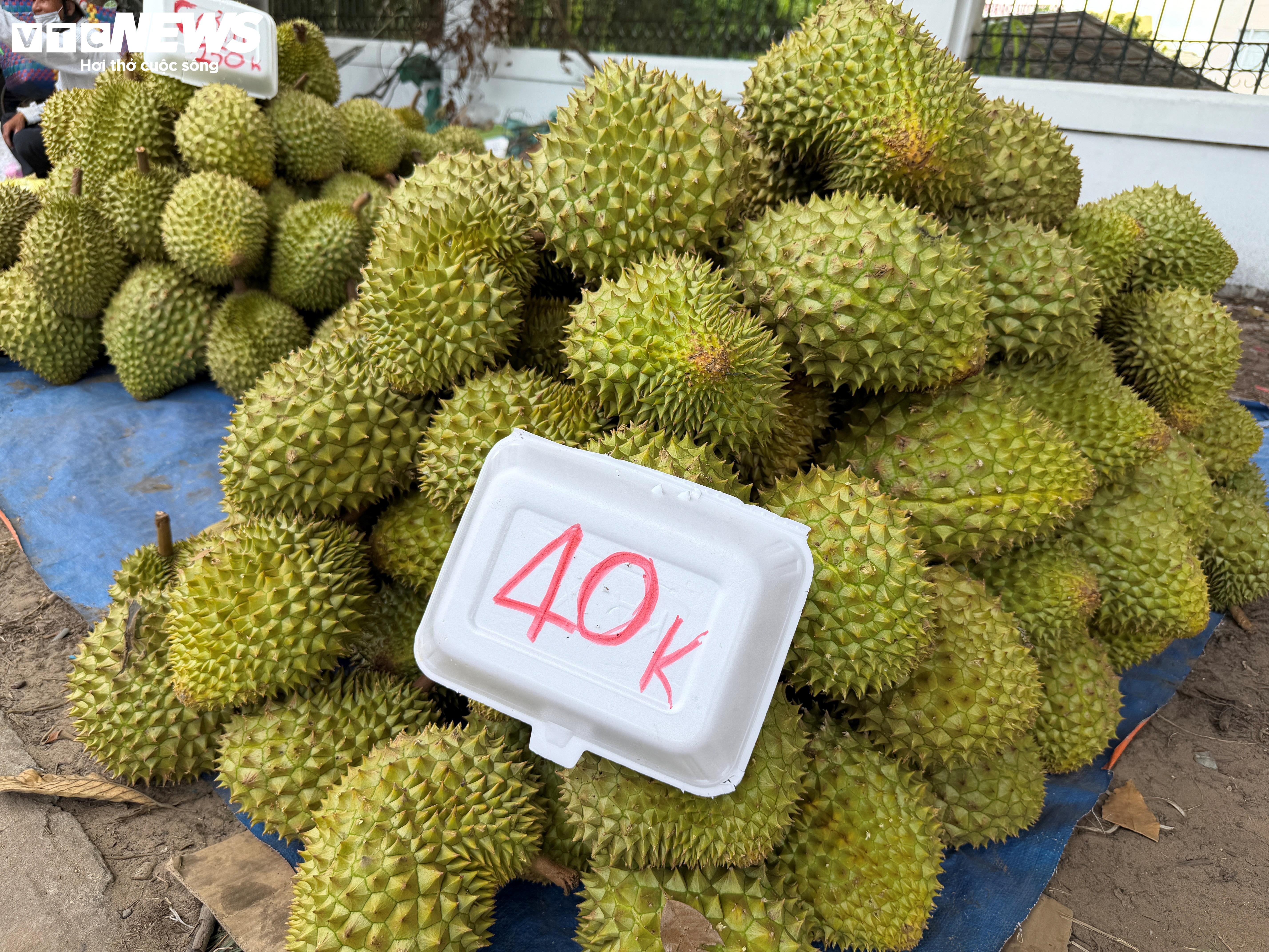 sầu ri&ecirc;ng ảnh 1