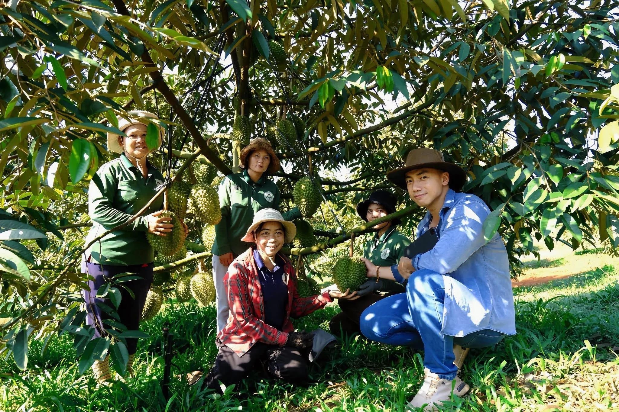 sầu ri&ecirc;ng ảnh 7