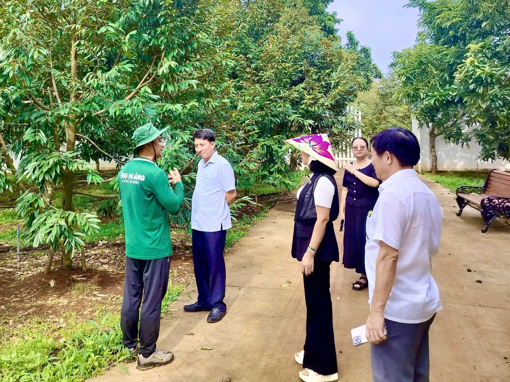 sầu ri&ecirc;ng ảnh 5