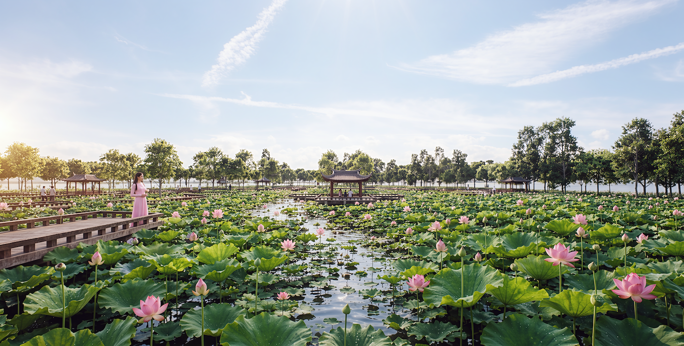 cải tạo hồ t&acirc;y ảnh 2
