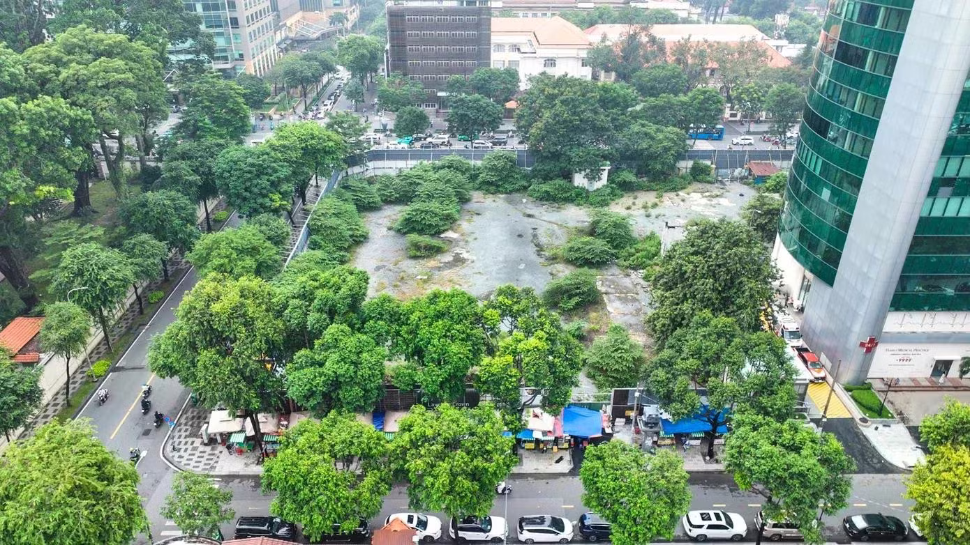 đất v&agrave;ng ảnh 3