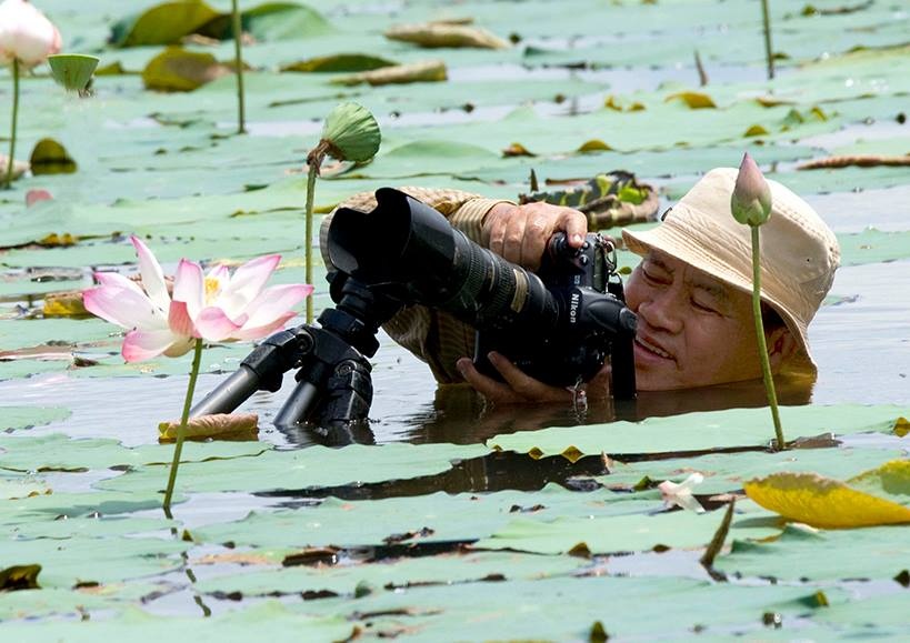 Doanh nhan me chup sen, lap 2 ky luc Viet Nam hinh anh