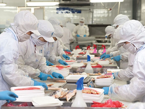 Mot nguoi Singapore lam viec bang 15 nguoi Viet Nam hinh anh