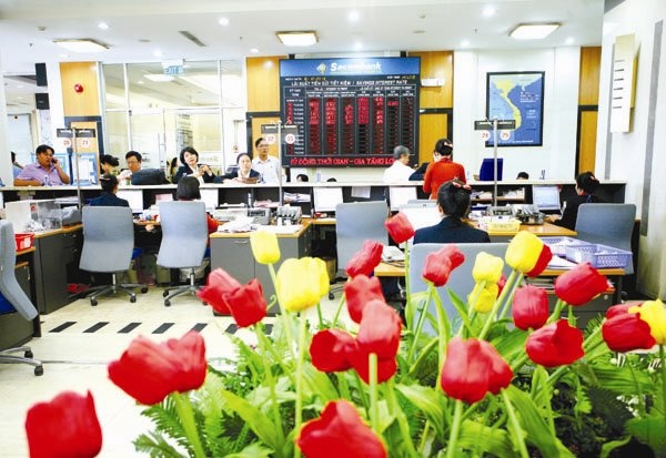 Bat con san sat, bu con ca ro hinh anh