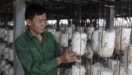 HTX trong nam cua nhung thanh nien trieu phu hinh anh