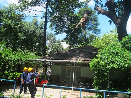 Công ty TNHH MTV Công viên Cây xanh bị thu hồi tiền ít nhất trong 4 đơn vị.