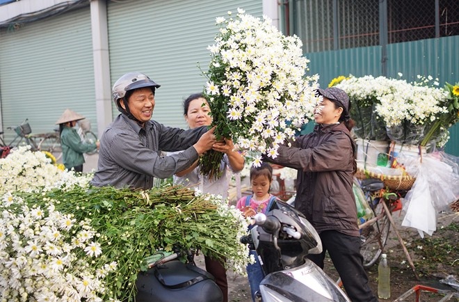 Cuc hoa mi lam nong thi truong hoa Ha Noi hinh anh