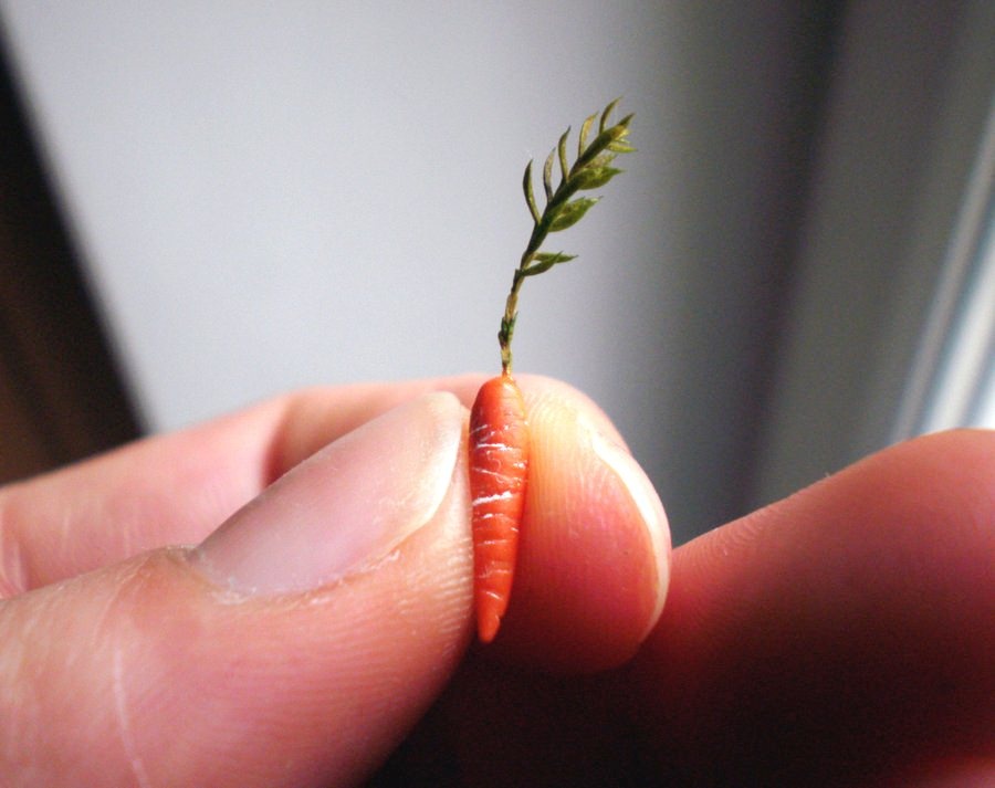 Vi sao khach Viet tim mua bi ngo, ca rot ti hon gia cao? hinh anh