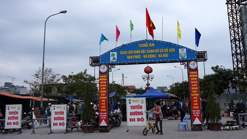 Chợ nằm trên mặt phố Tố Hữu, được tổ chức khá quy củ.