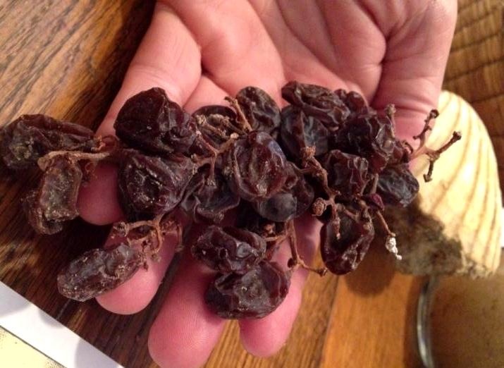 Nho Uc say kho nguyen canh het mua, loan gia van chay hang hinh anh