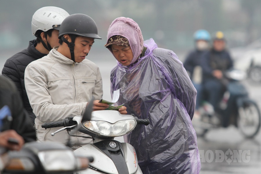 Muốn chọn chỗ ngồi đẹp khán giả chắc chắn sẽ phải móc hầu bao tiền triệu...