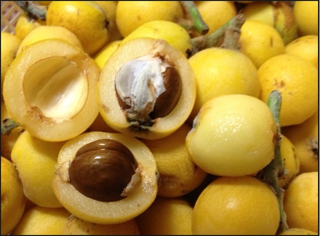 Qua ty ba: Dac san Lao Cai ve Ha Noi gia 85.000 dong/kg hinh anh