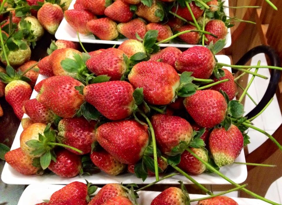 Vi sao gia 1 kg dau tay Da Lat chenh nhau 300.000 dong? hinh anh