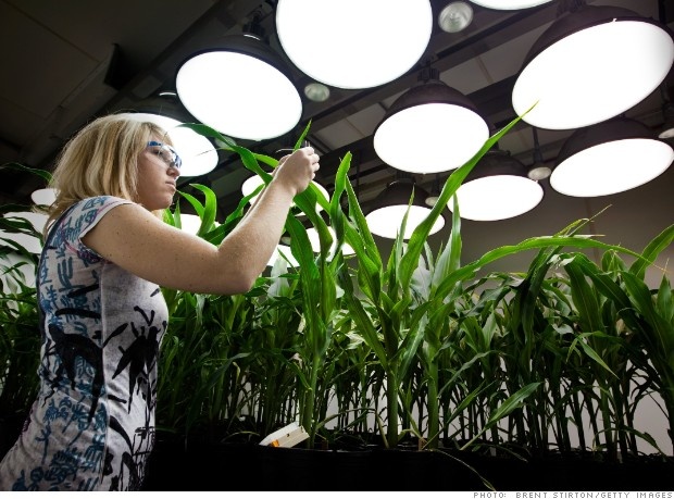 6 nganh 'an nen lam ra' khi trai dat ngay mot nong len hinh anh