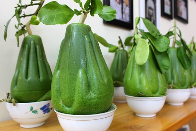 Sat Tet, buoi hinh tay Phat duoc rao ban 1,2 trieu dong/qua hinh anh