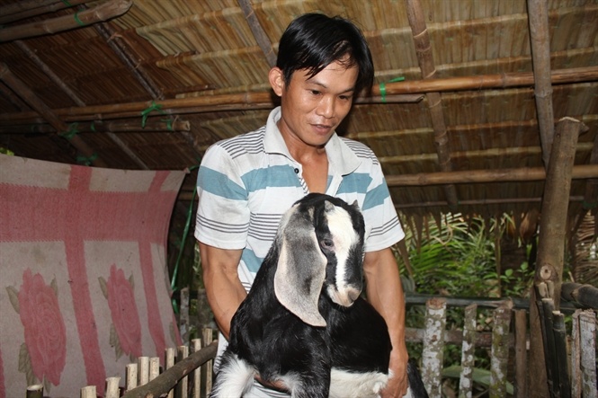 'Ngan hang' de hinh anh