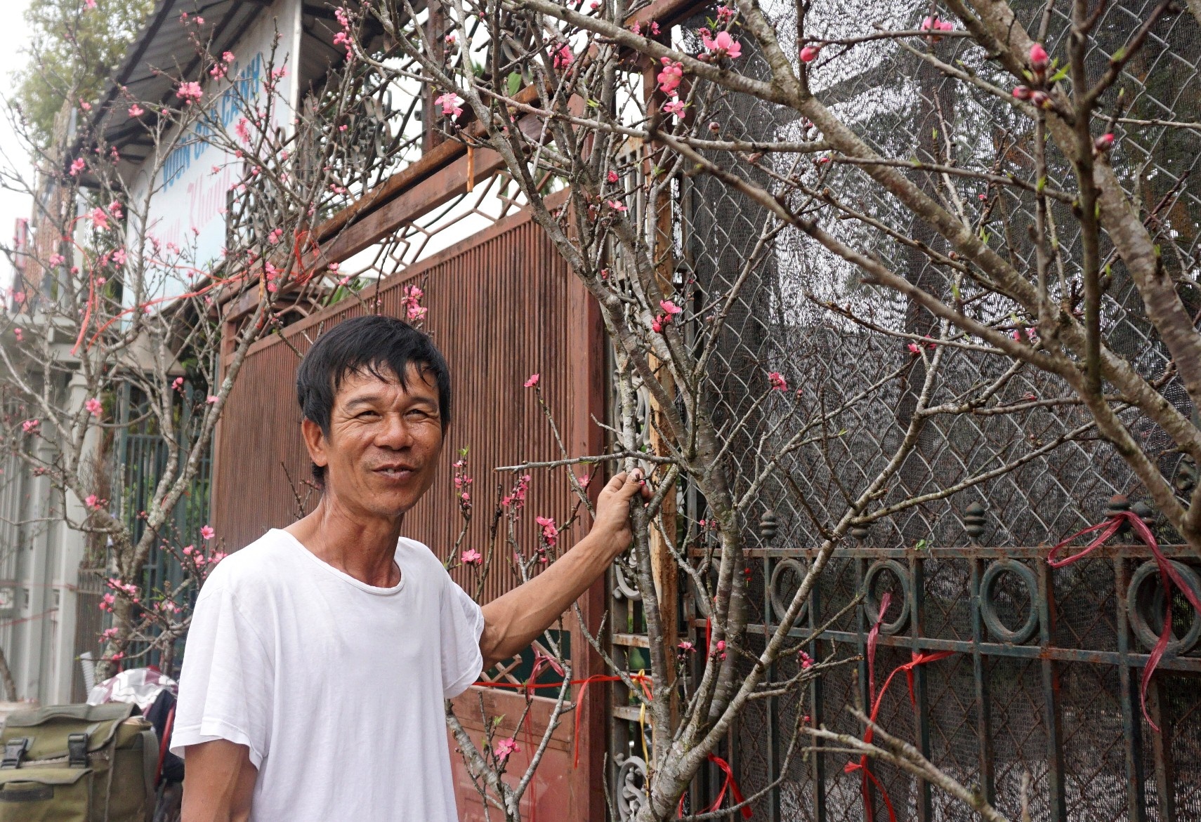 1 trieu dong mot canh dao rung sau Tet hinh anh