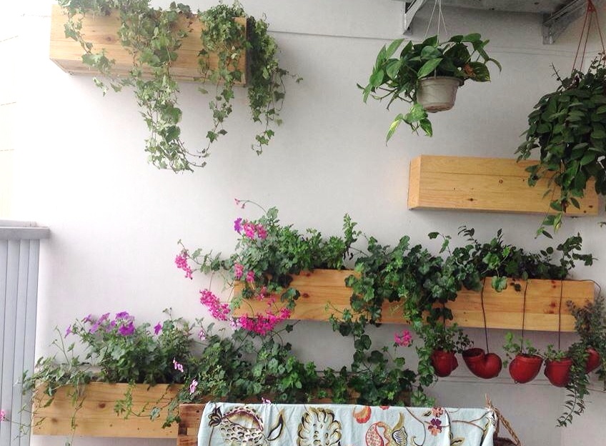 Nguoi Ha Noi chi tien mang bong xanh vao nha hinh anh