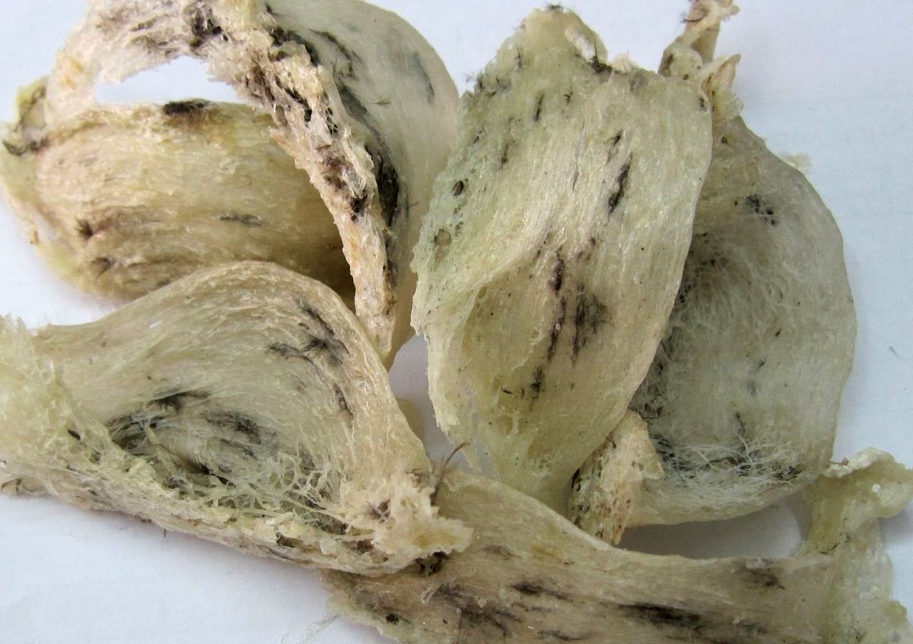 Bi quyet mua to yen khong chon nham hang gia hinh anh