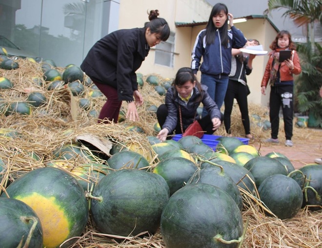 Giai cuu nong san e: Sao khong coi khuc mac trong san nha? hinh anh
