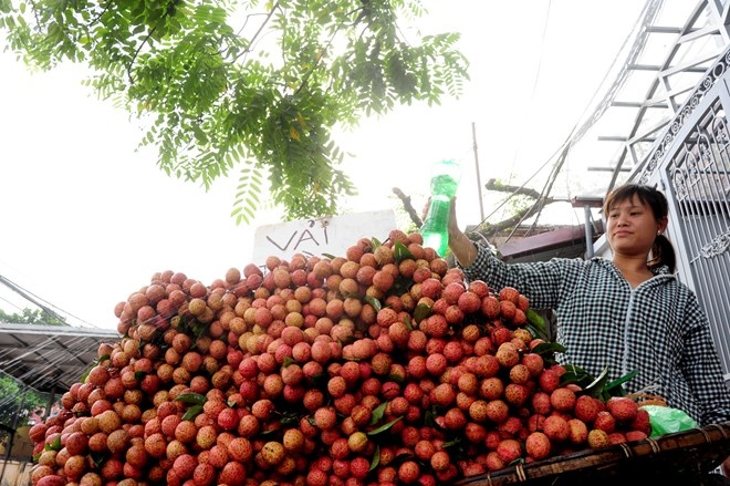 Mua vai 2015: Bo Cong Thuong se lam gi? hinh anh