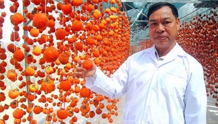 Giai cuu qua hong dac san hinh anh