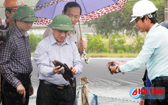 Ha Tinh hoan toan nuoi duoc ca bon, ca mu tren vung dat cat hinh anh