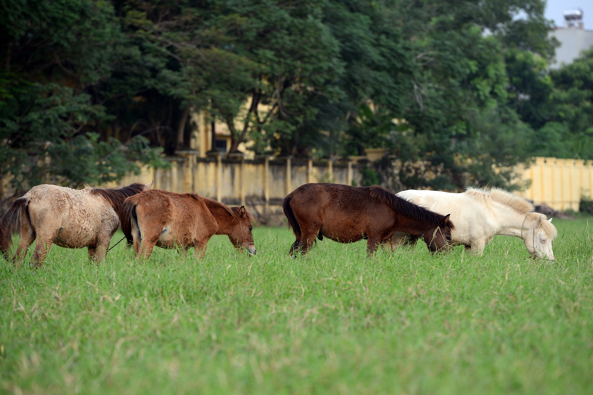 Khu dat cua 2 toa thap ty do chi nam tren giay hinh anh