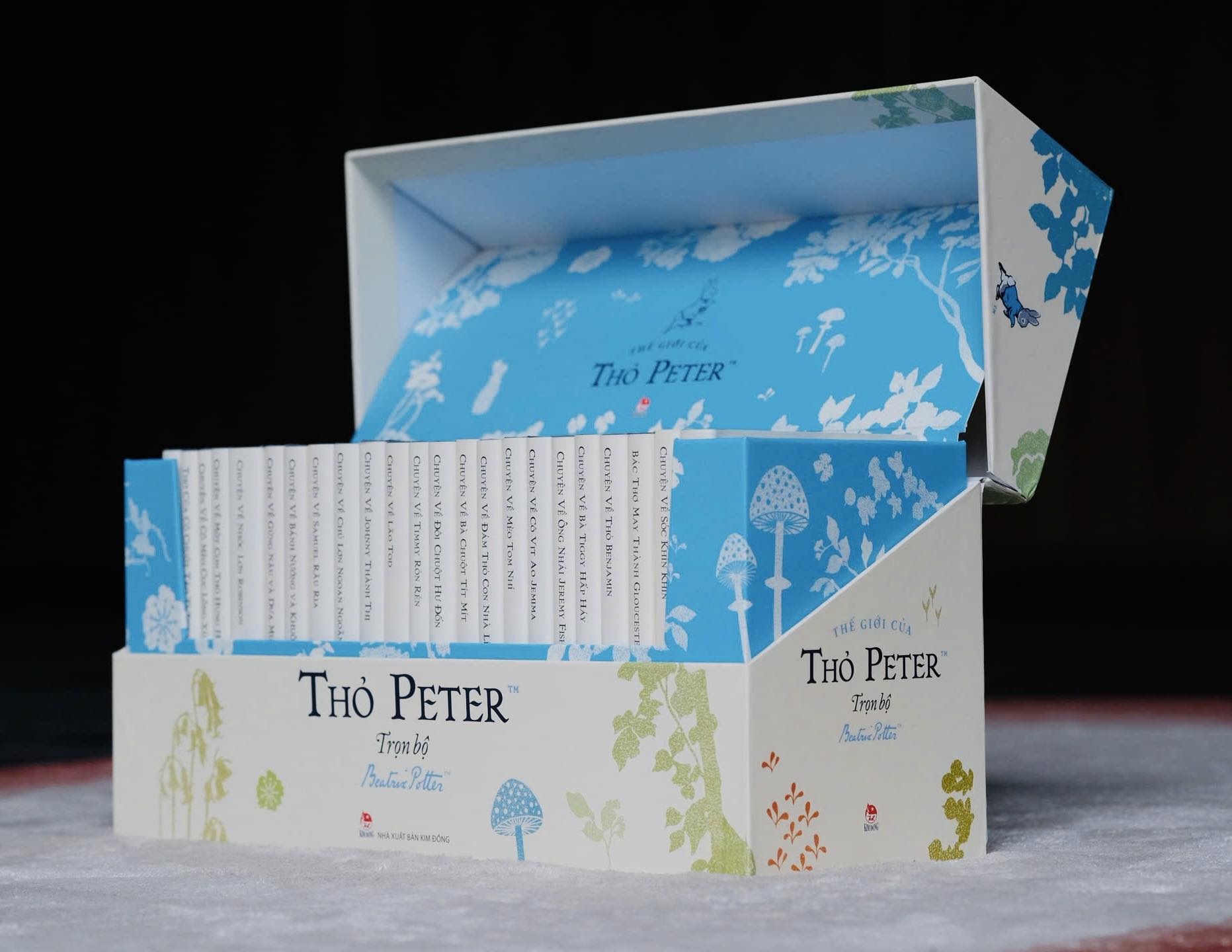 Trung thu,  thi truong trung thu,  hop qua trung thu,  qua tang trung thu,  qua trung thu,  sach thieu nhi anh 1