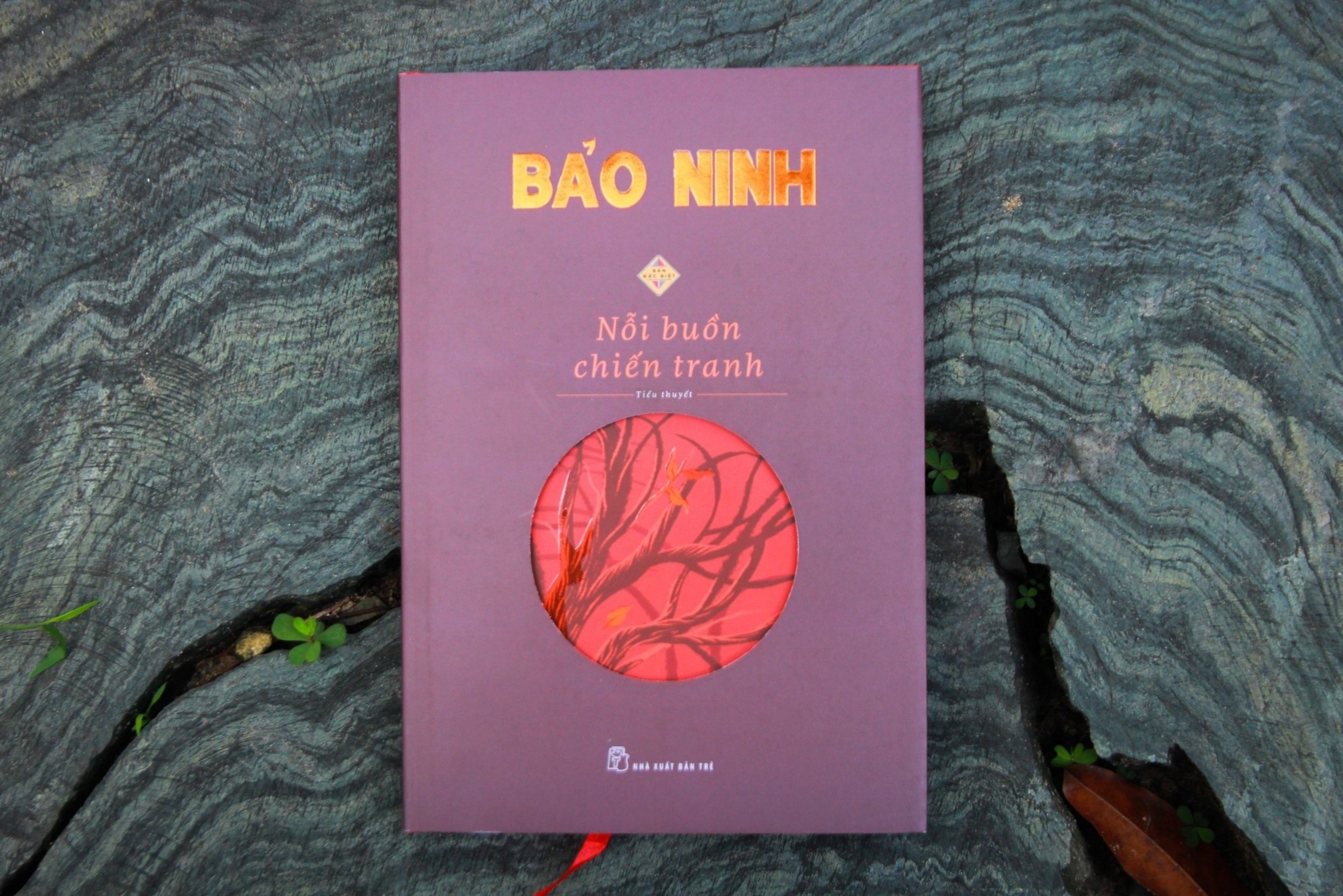 Nhung cau hoi lon cua van chuong Viet hinh anh