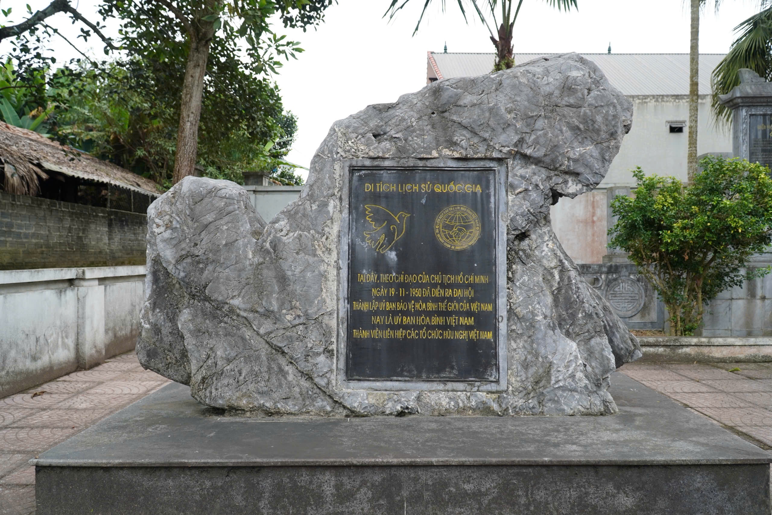 hanh trinh ve nguon anh 12