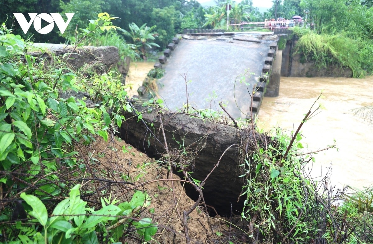 sap cau Cay Sung anh 1