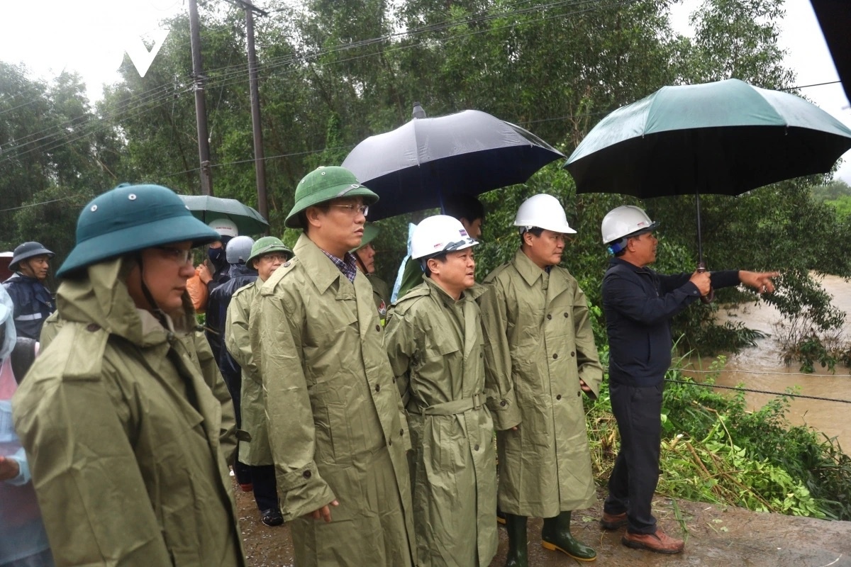 sap cau Cay Sung anh 3