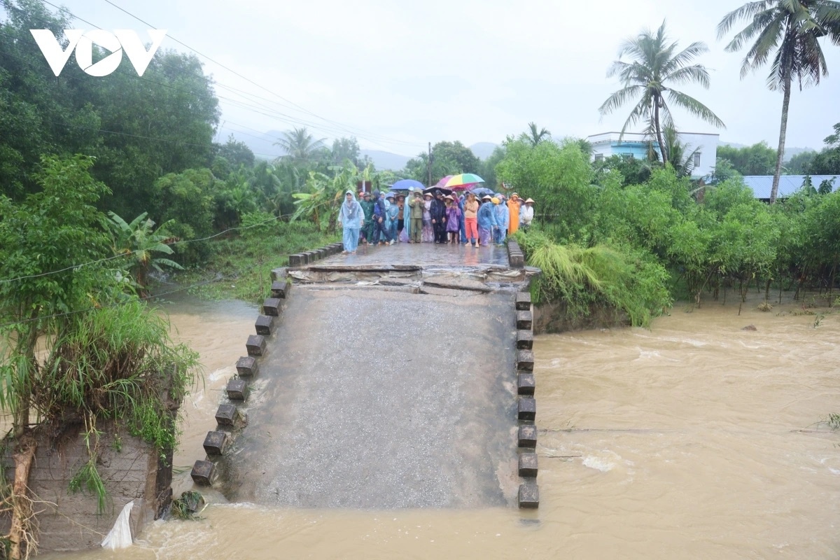 sap cau Cay Sung anh 4