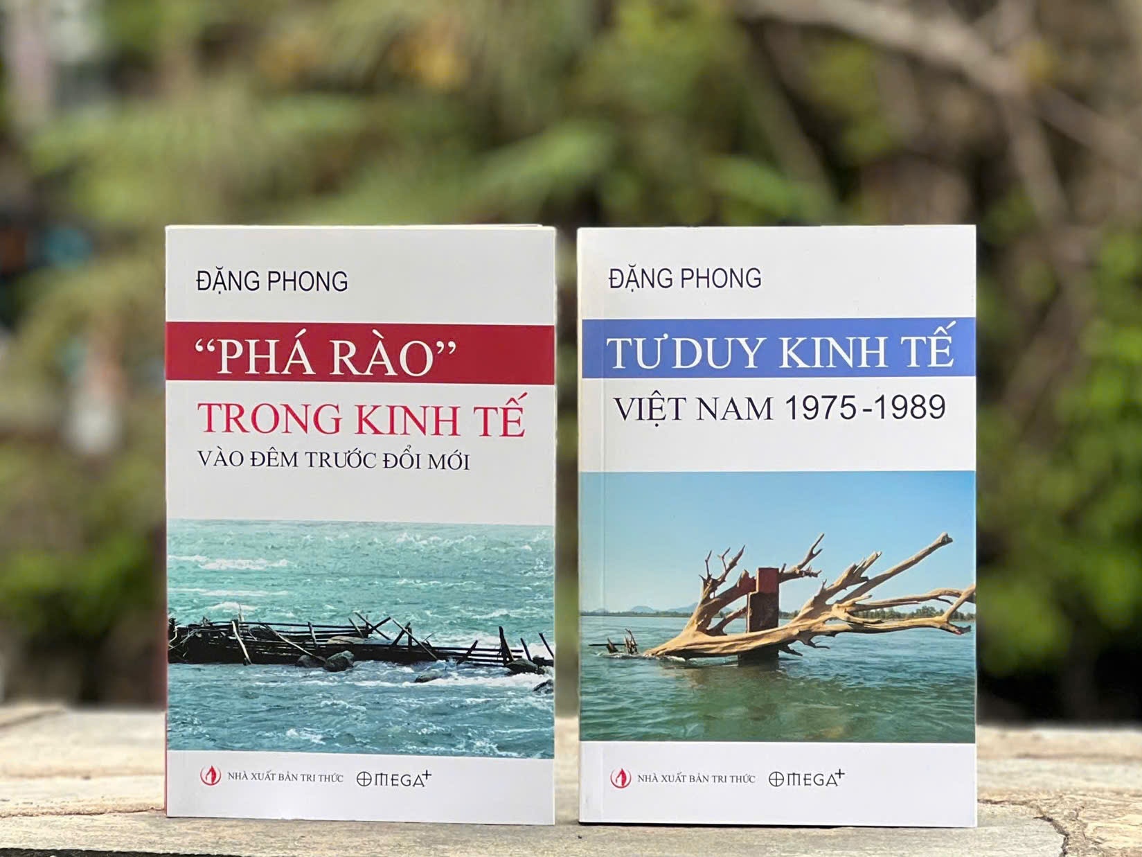 Thau hieu su thay doi trong tu duy kinh te Viet Nam thoi ky Doi moi hinh anh