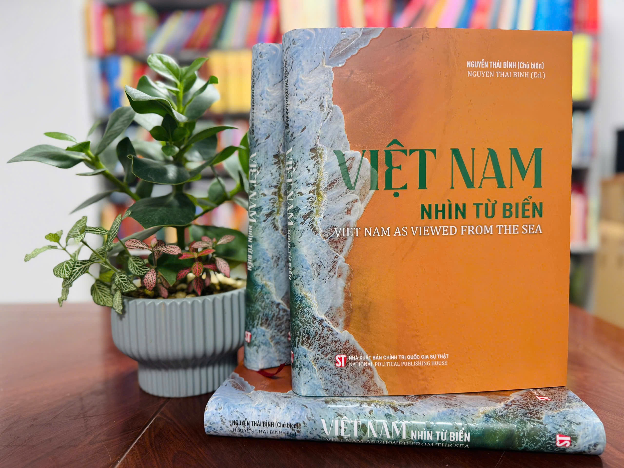 bien dao Viet Nam anh 1