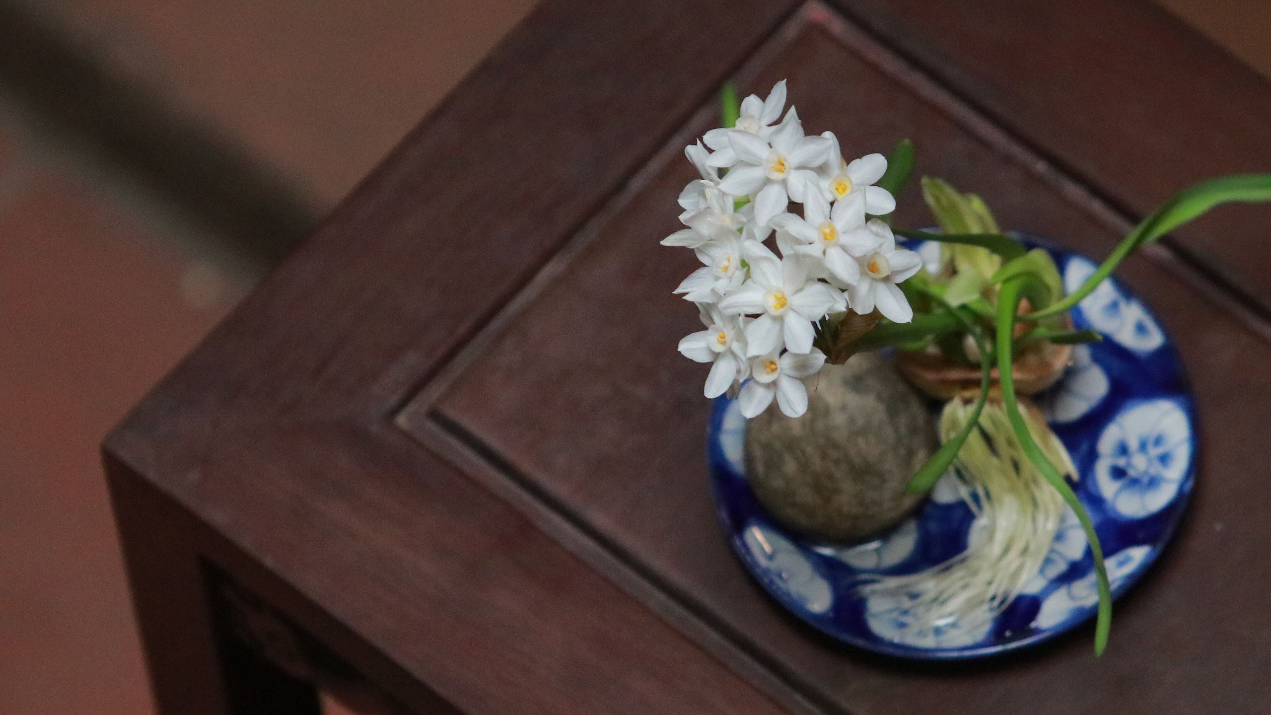 Thu choi hoa thuy tien cau ky cua nguoi Ha Noi hinh anh