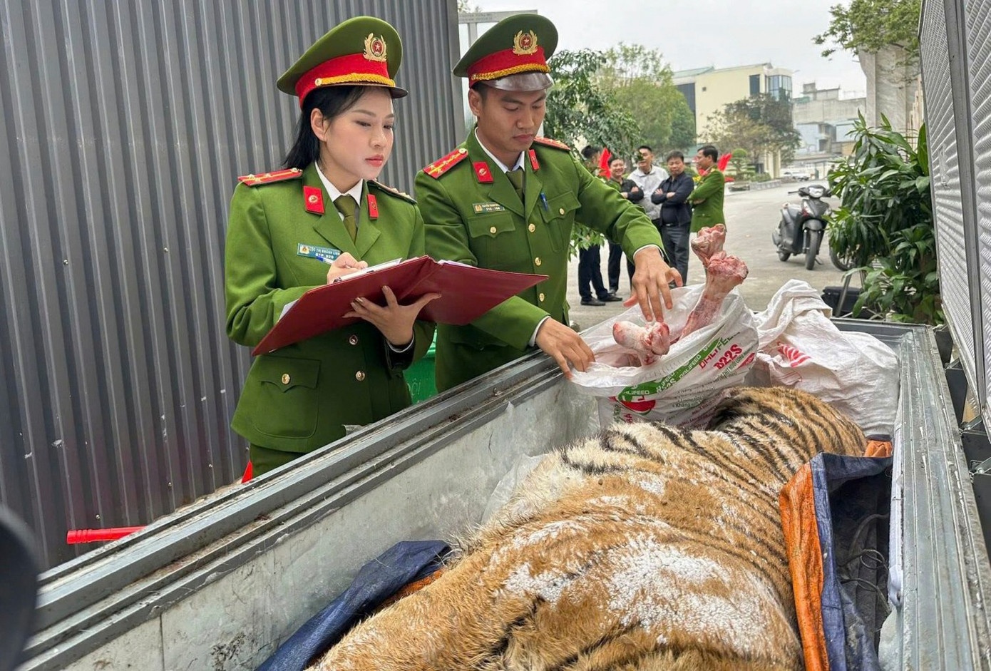 dong vat hoang da anh 2